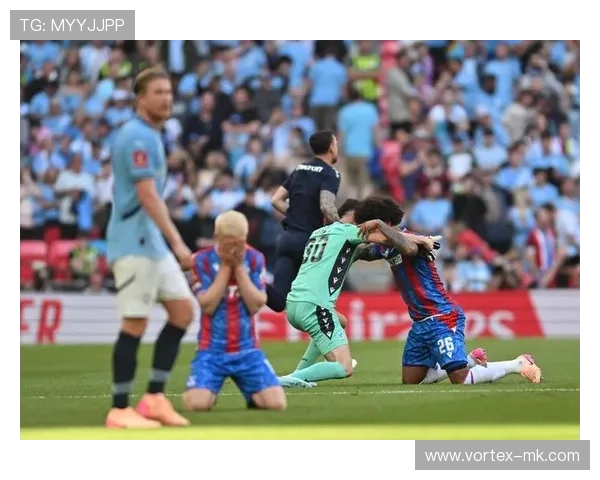 水晶宫攻防表现均衡，球队战术稳定性获专家点赞